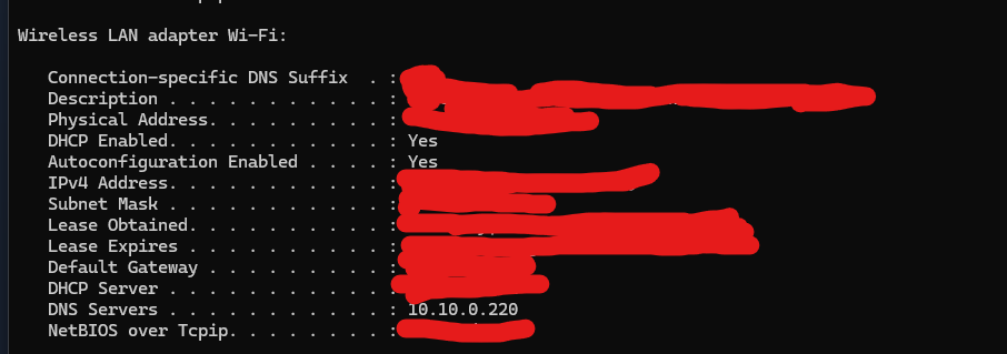 Redacted <code>ipconfig</code> on the rig — the Wi-Fi adapter&rsquo;s DNS now points at the lab filter